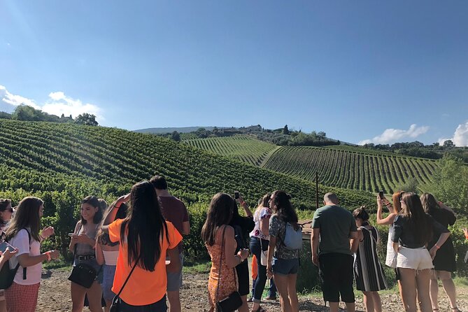 Tuscany Wine Tastings With Panoramic View - Florence to Chianti - Traveler Suitability