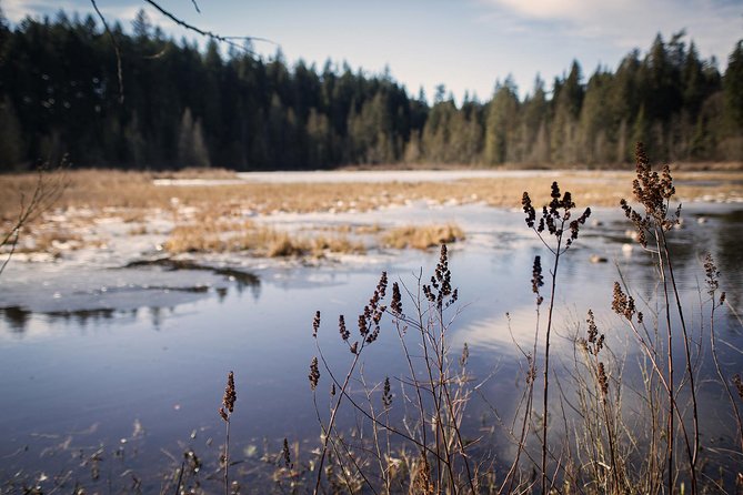 Vancouver Secrets of Stanley Park Walking Tour - Hidden Trails and Secrets