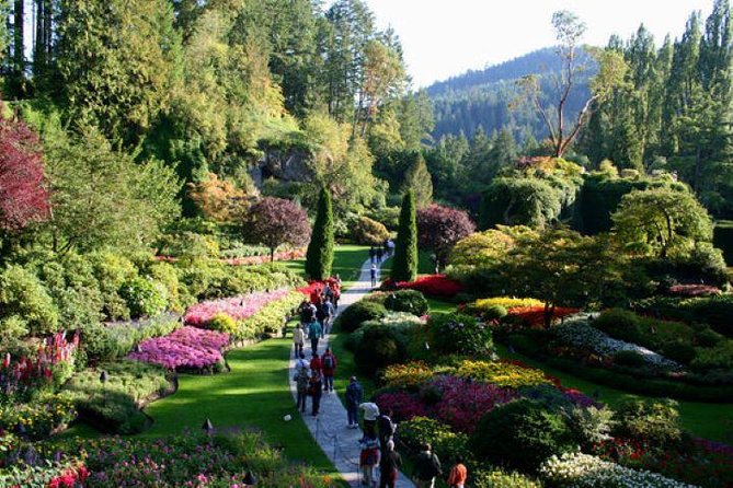 Vancouver to Victoria City With Butchart Gardens Tour - Victoria City Exploration