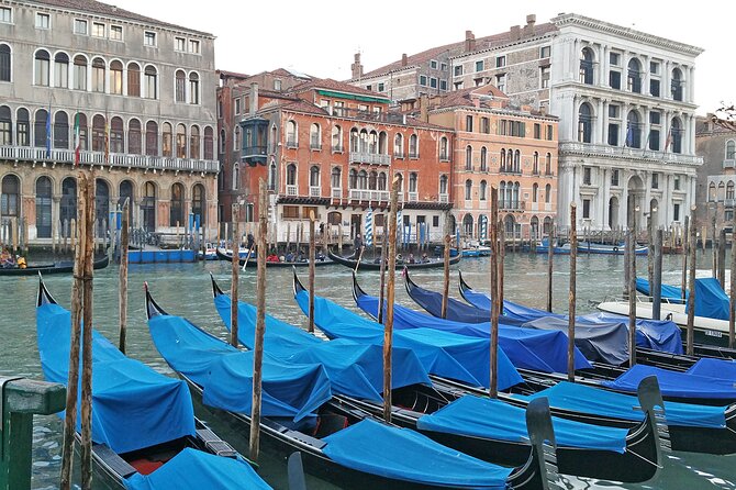 Venice Top Attractions Walking Tour Along the Canals With Local Guide - Highlights of the Walking Tour