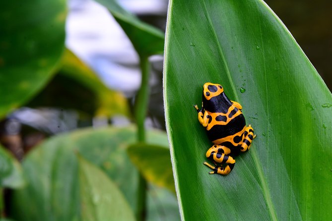 Victoria Butterfly Gardens Ticket - Visitor Policies