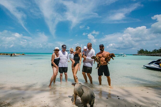 Visit the Ocean Swings! Full Day Harbour Island Private Boat Tour - What to Expect