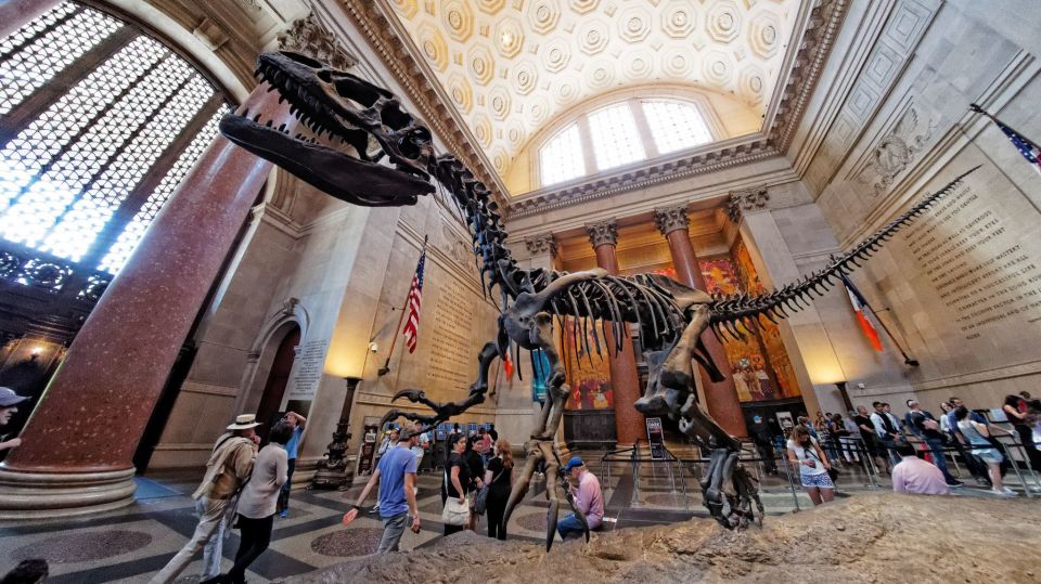 Washington DC: Museum of Natural History Private Guided Tour - Inclusions and Exclusions