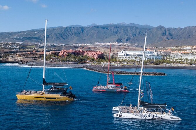 Whale Watching Catamaran to Los Gigantes & Masca (Including Drinks & Warm Lunch) - Safety Precautions