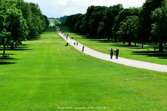 Windsor Castle & St Georges Chapel: Half-Day Walking Tour - Tour Reviews