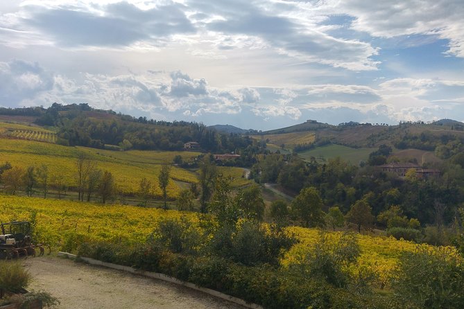 Winetour and Tasting on Bologna Hills, Guided by the Wine Grower - Traveler Feedback and Highlights