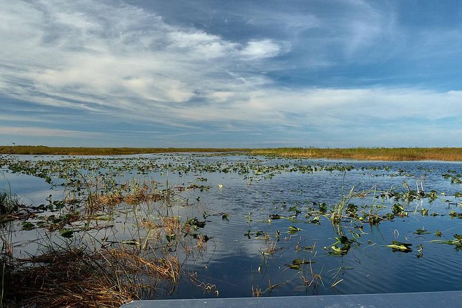 1-Hour Air Boat Ride and Nature Walk With Naturalist in Everglades National Park - Additional Information