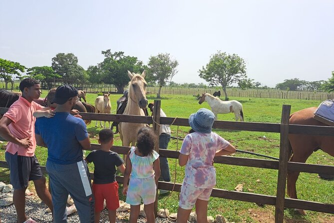 2-Hour Horseback Riding Tour at Sunset From Punta Cana - Professional Guides