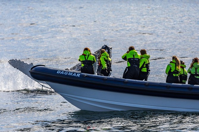 2-Hour RIB Boat Whale Watching Tour From Reykjavik - Booking and Reservations