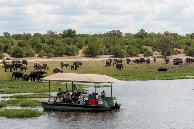 2 Nights 3 Days Chobe Safari Ex Livingstone/ Victoria Falls - Customer Reviews