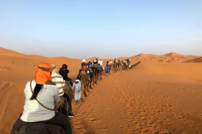 3 Days Desert Tour From Fes to Marrakech via Merzouga - Pickup and Transportation Details