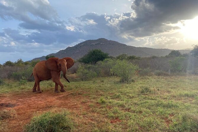 3 Days Safari Tsavo East and Taita Hills (Saltlick Lodge) - Additional Information