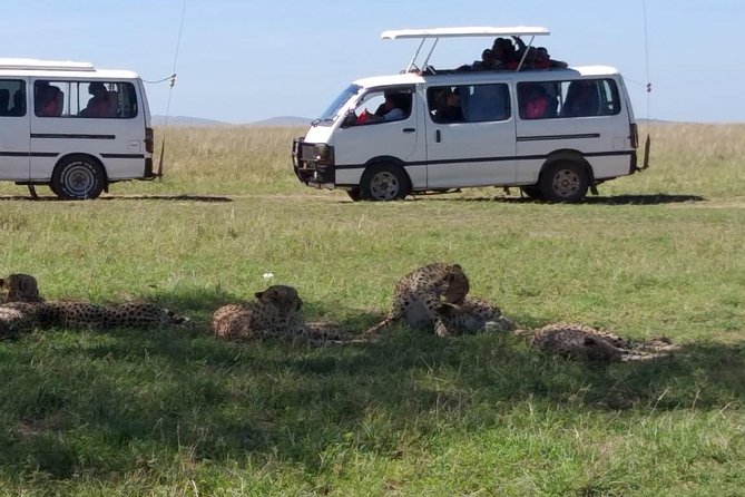 4-Day Small Group Maasai Mara and Lake Nakuru Safari Without Fees - Safari Vehicle and Amenities