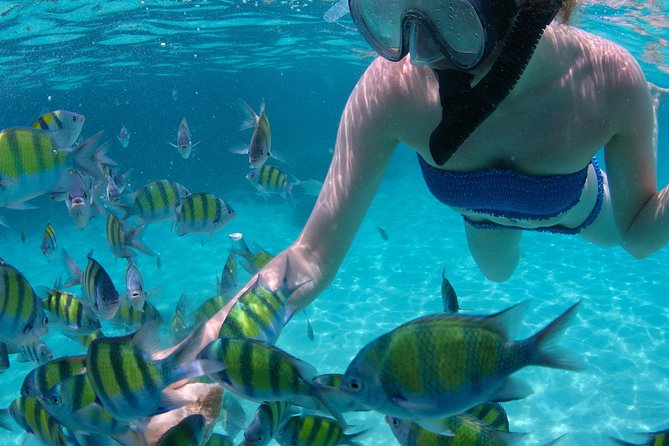 4-Hour Catamaran Sail and Snorkel Tour From Grace Bay - Tour Duration and Group Size