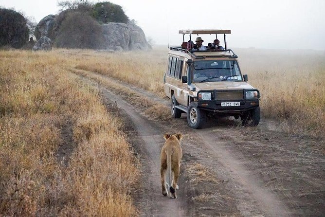 5 Days Safari In Serengeti And Ngorongoro - Destination Details