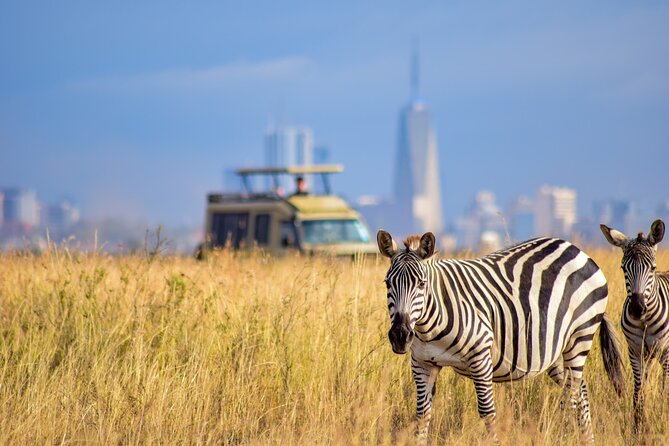 5HRS Nairobi National Park Early Morning Private Tour 4x4 Vehicle - What to Expect