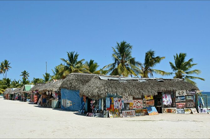 6 + 1 Full Day Isla Saona Tour and Snorkel in Natural Pool Mangroves Punta Cana - Highlights of the Tour