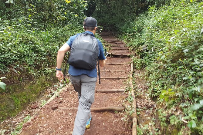 7-Day Mountain Climbing in Machame Route - Itinerary