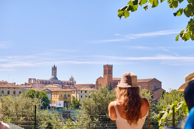 Afternoon in Siena and Chianti Wine Tour With Dinner From Florence - Additional Information