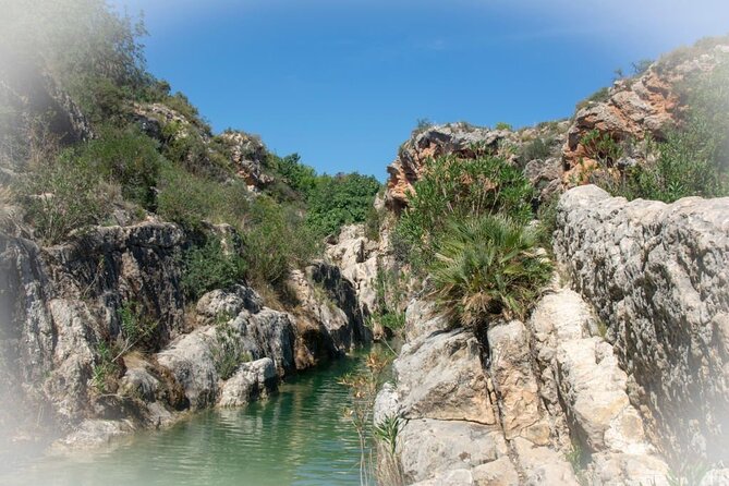 Agadir or Taghazout: Paradise Valley Excursion With Lunch - Lunch During the Excursion