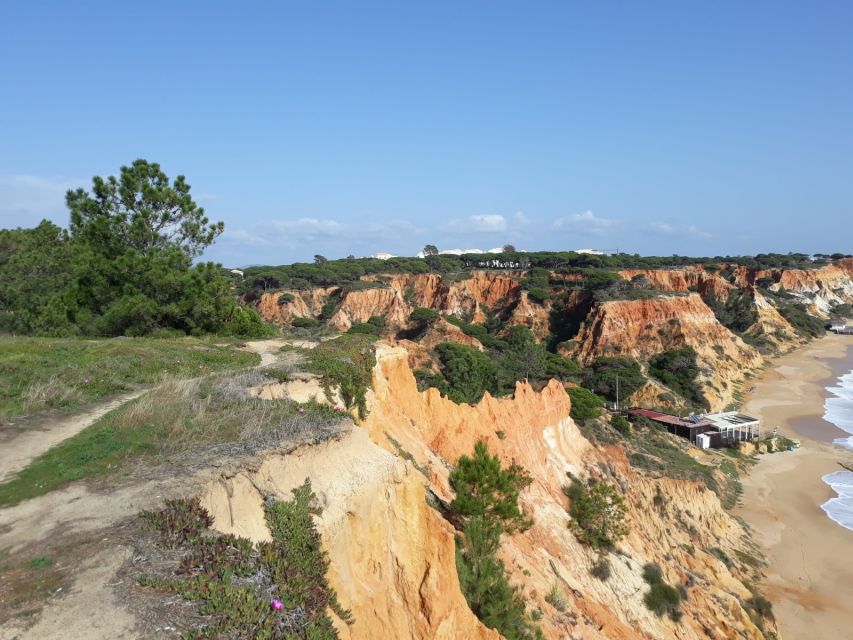 Albufeira Sightseeing in a Tuk Tuk - Unique Experience - Pickup and Drop-off