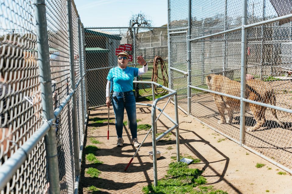 Alpine: Lions Tigers & Bears Sanctuary Visit and Feeding - Visitor Restrictions and Requirements