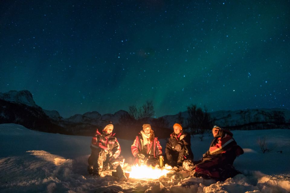 Alta: Small-Group Guided Northern Lights Tour - Booking and Inquiries