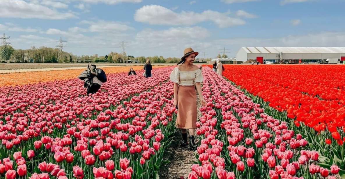 Amsterdam: Keukenhof, Tulip Farm Full-Day Tour With Cruise - Tulip Farm Visit