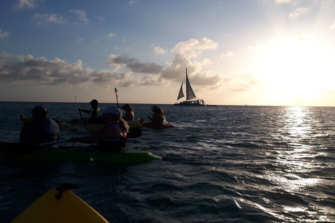 Aruba Night Glass Kayak Tour - Tour Commentary Languages