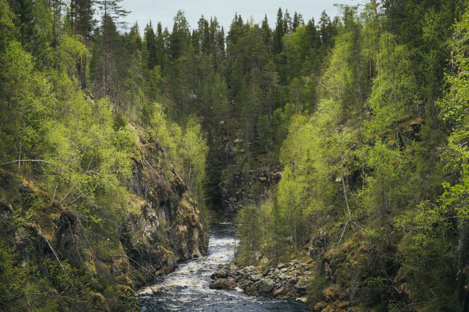 Auttiköngäs Hiking Experience - Transportation and Pickup