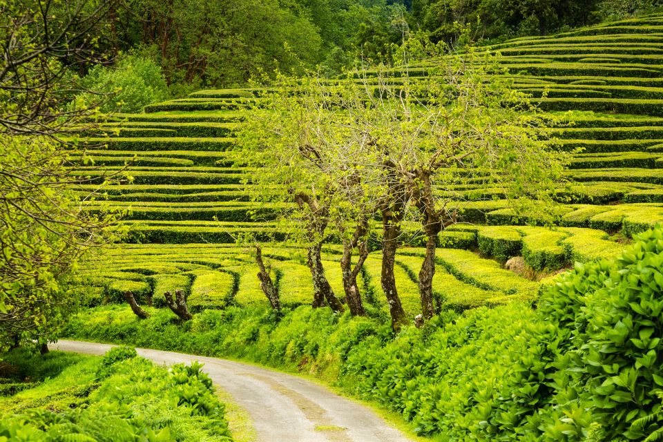 Azores: Private Tour to All São Miguel Island With Lunch - Azorean Gastronomy