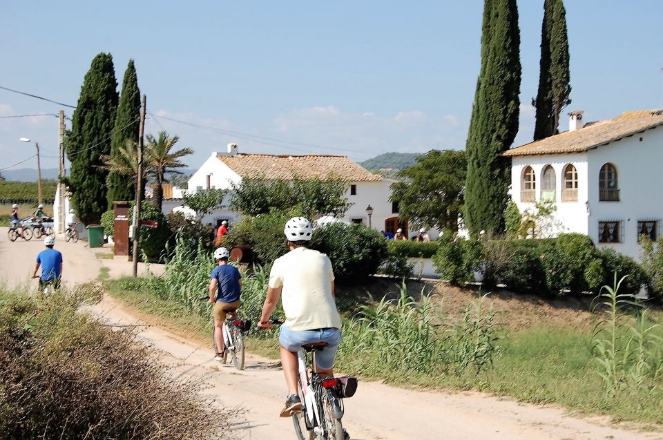 Barcelona: Guided Half-Day Wine and Electric Bike Tour - What to Expect on the Tour