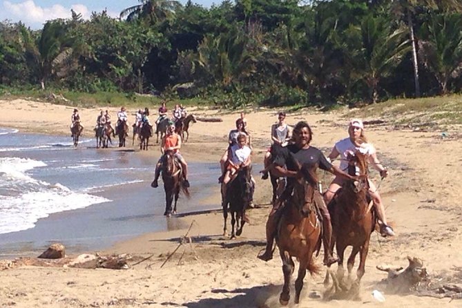 Beach Horseback Riding in Puerto Plata - Maximum Number of Travelers