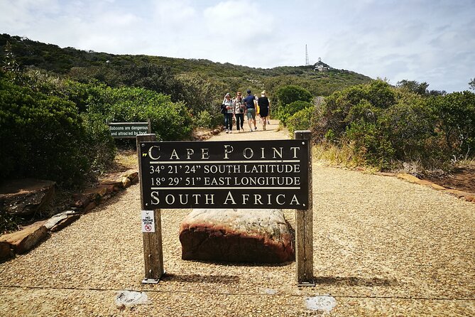 Best of the Cape Full Day Private Tour - Boulders Beach