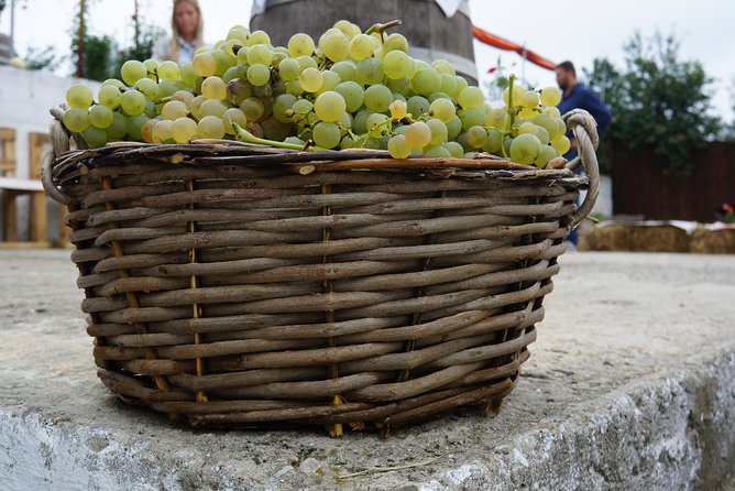 Bike & Wine Tour in Dealu Mare Wineland - Medical Considerations