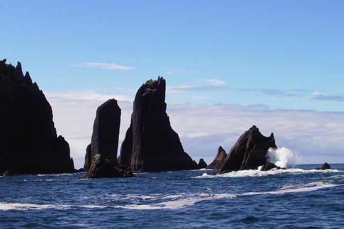 Blasket Island Eco Tour. - Booking and Cancellation Policies