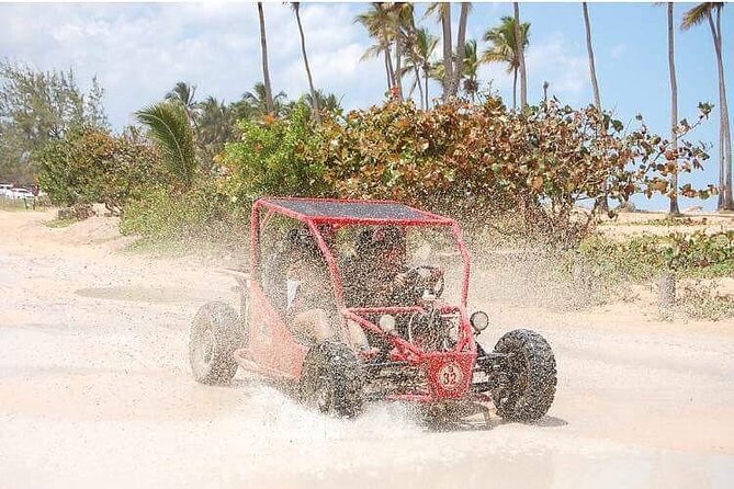 Boogies & Polaris - Explore Punta Cana in a Buggy - Plantation Visits and Tastings