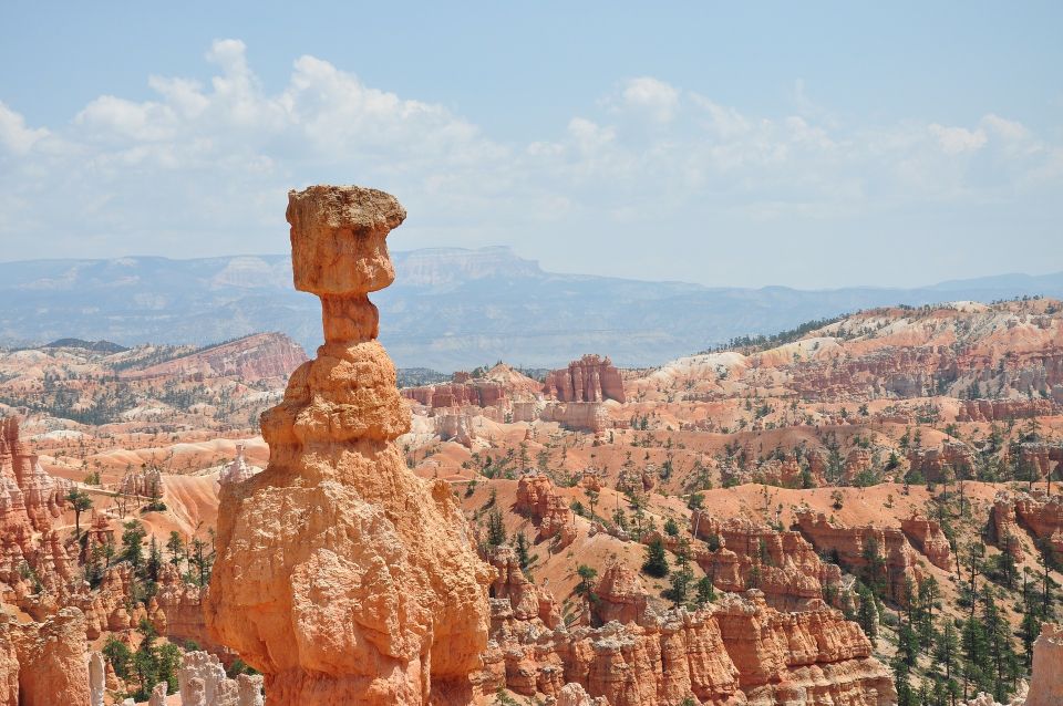 Bryce: Guided Sightseeing Tour of Bryce Canyon National Park - Customer Feedback and Ratings