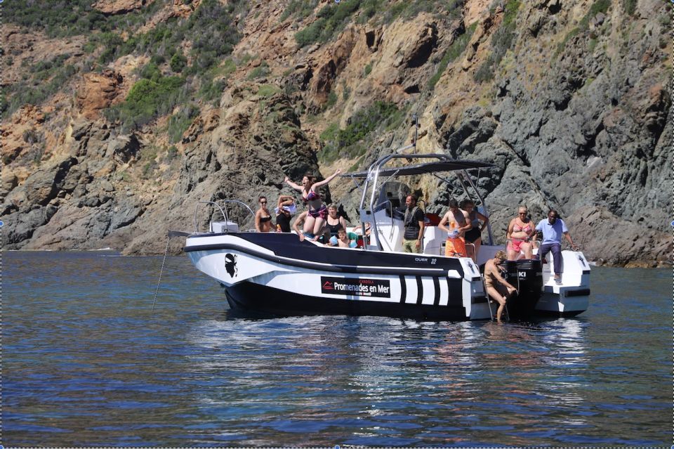 Calvi to Scandola: 4-Hour Boat Tour - Frequently Asked Questions