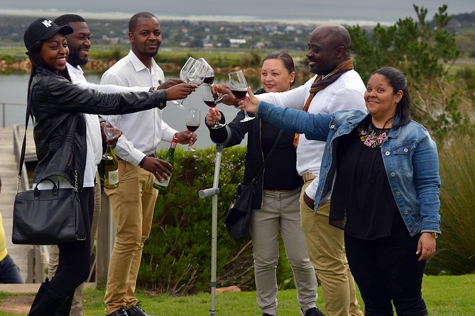 Cape Agulhas Full Day Private Tour From Cape Town - Penguin Colony Viewing