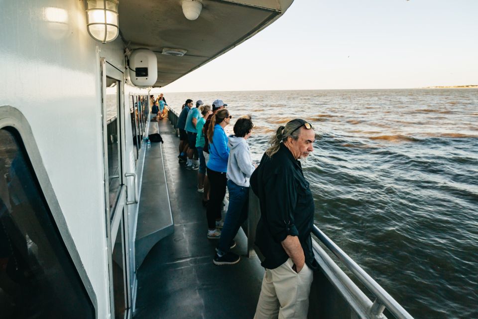 Cape May: Cape May Island Sunset Cruise & Dolphin Watching - Spotting Marine Wildlife