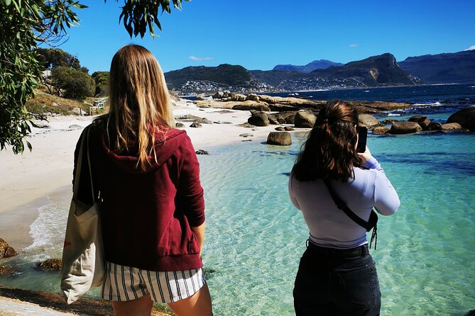 Cape Point Xplorer - Encountering Boulders Beach Penguins