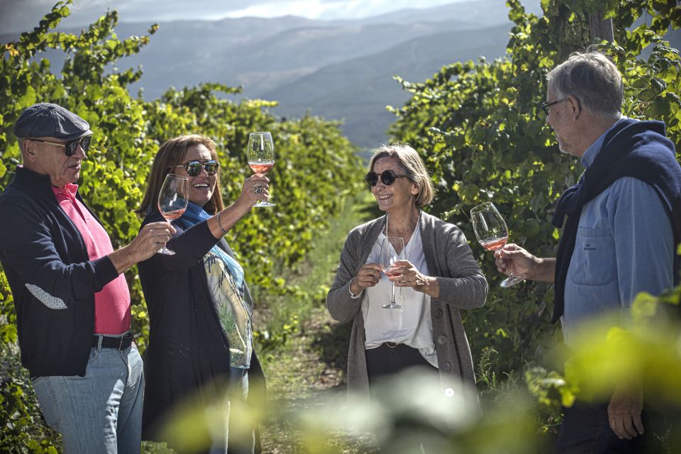 Celorico De Basto: Quinta De Santa Cristina Winery Tour - Location and Accessibility