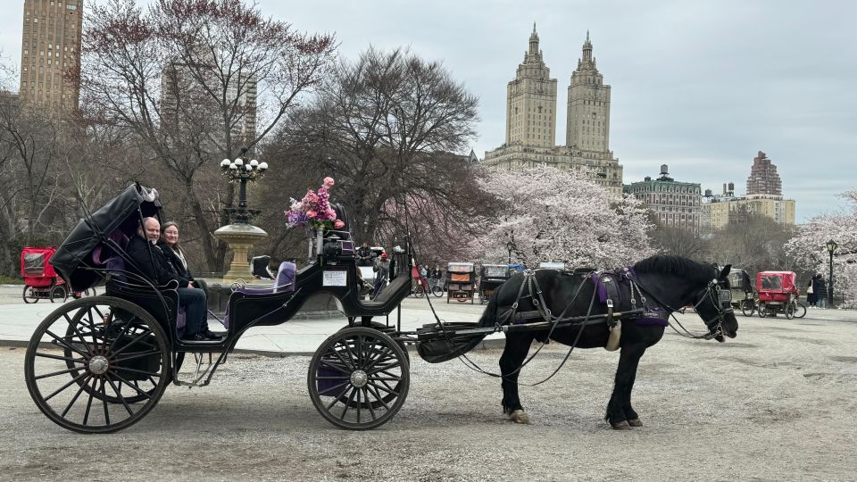 Central Park Horses Carriage Rides - Sightseeing Tour Stops