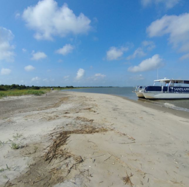 Charleston: Morris Island Nature Boat Tour With Naturalist - Parking Options