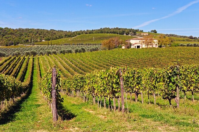 Chianti, Supertuscan & San Gimignano - 2 Wineries and Light Lunch - Discover Local Wineries