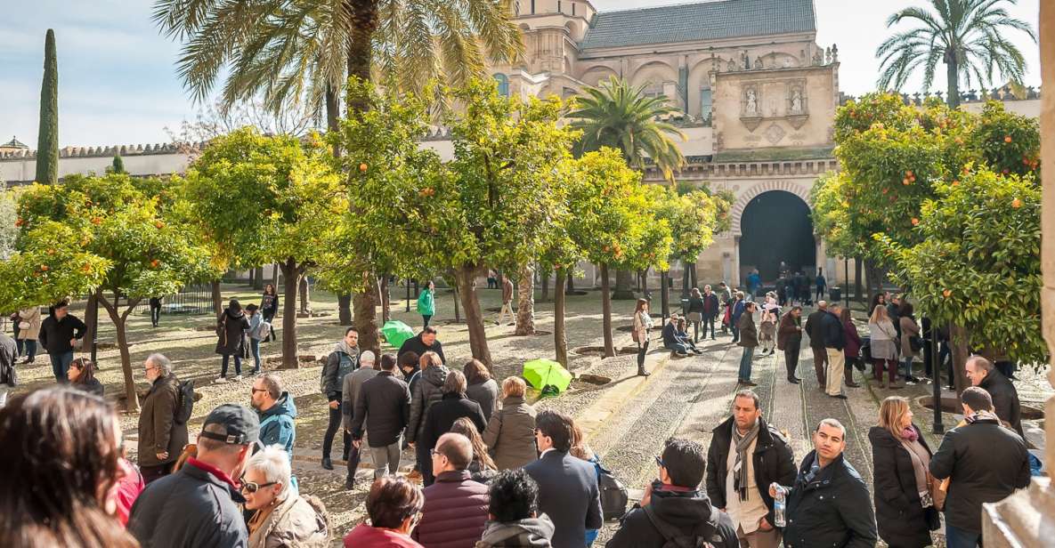 Cordoba: Monuments Walking Tour - Languages and Cancellation Policy