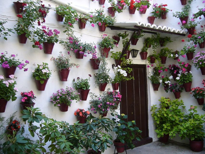 Córdoba: Private Guided Walking Tour - Things To Known