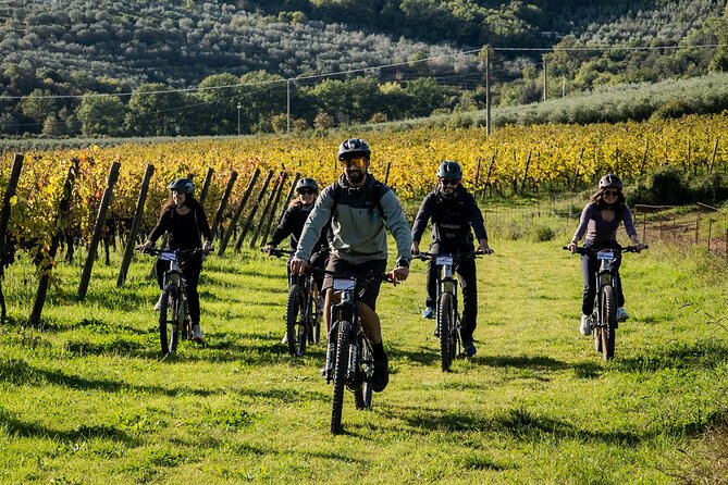 Cortona - Ebike Tour and Wine Tasting in the Val Di Chiana [+40€] - Transfer and Accessibility