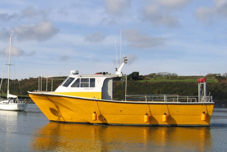 County Cork: Whale & Dolphin Watching Boat Trip - Tour Details